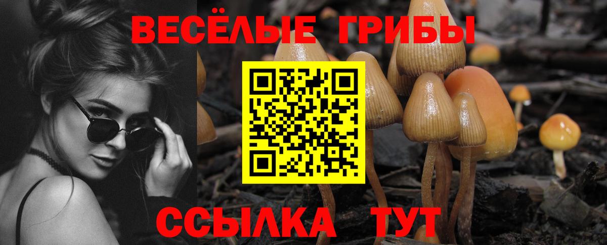 Галлюциногенные грибы Psilocybine cubensis  Вход с VPN  Галлюциногенные грибы прущие грибы  купить  сайты  Выкса 